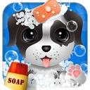 Wash Pets