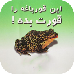 قورباغه ات را قورت بده