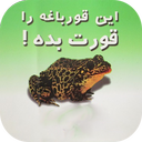 قورباغه ات را قورت بده