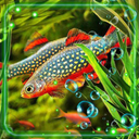 Fish Aquarium Live Wallpaper