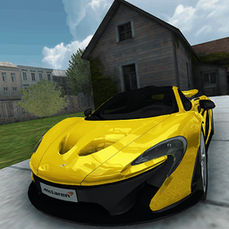 Fast McLaren P1: Track Driving