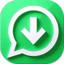status saver