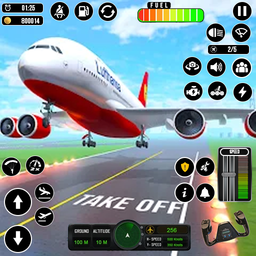 Airplane real flight sim 3D