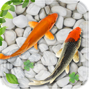 Fish Live Wallpaper Aquarium