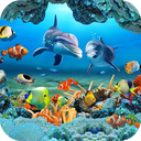 Koi Fish Live Wallpaper 3D