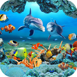 Koi Fish Live Wallpaper 3D