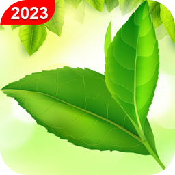 Green Leaf Live Wallpaper HD