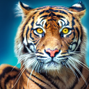 Lion Games 2023