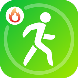 Pedometer and Step Counter