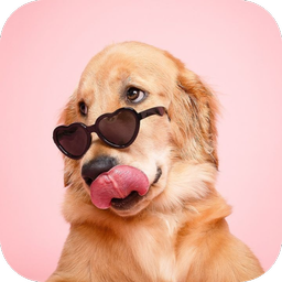 Dog Breed Scanner Dog Breed ID