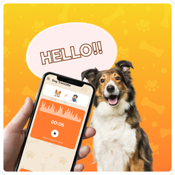 Dog translator discount simulator