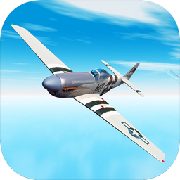 Dogfight 1943 Flight Sim 3D