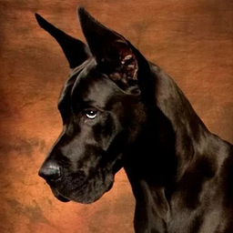 Great Dane Simulator