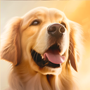 Golden Retriever Dog Sim 3D