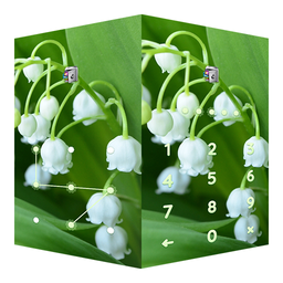 AppLock Lily of the Valley