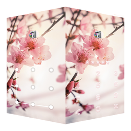 AppLock Theme Peach Blossoms