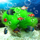 Aquarium 3D Live Wallpaper