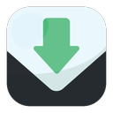 Internet Download Manager