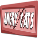 angry cats