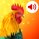 Animals: Ringtones – صدای حیوانات برای زنگ موبایل