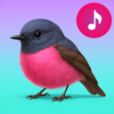 Bird Songs: Ringtones