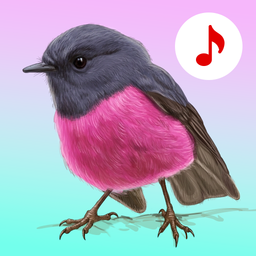 Bird Songs: Ringtones