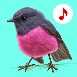 Bird Songs: Ringtones