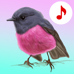 Bird Songs: Ringtones