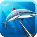 Hunter underwater spearfishing