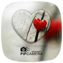 PIP Camera