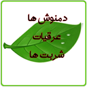 دمنوش+عرقیات+شربت