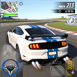 Car Racing Pro: Highway Rally