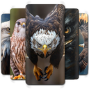 Eagle Wallpaper