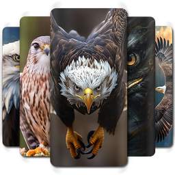 Eagle Wallpaper