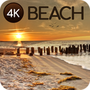 Wallpapers with beaches