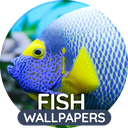 Wallpapers 4K with fish