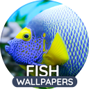 Wallpapers 4K with fish