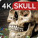 Wallpapers with Skulls 4K