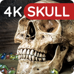 Wallpapers with Skulls 4K