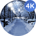 Winter wallpapers