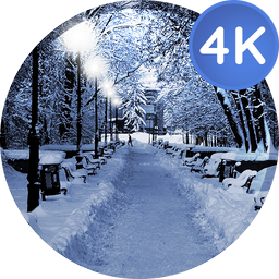 Winter wallpapers