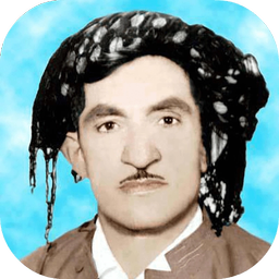 hassan zirak