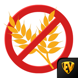 Gluten-free Diet Food Recipes