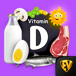 Vitamin D Rich Food Recipes