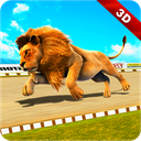Wild Lion Racing Animal Race