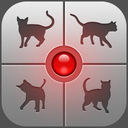 Human-to-Cat - Play with your cat!
