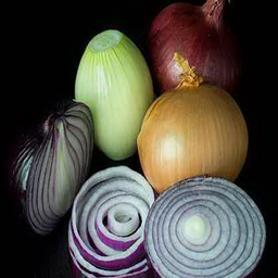 Unique properties of onion