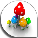 Mushroom production