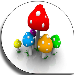 Mushroom production