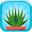 Terrarium Idle Game (Baghche)